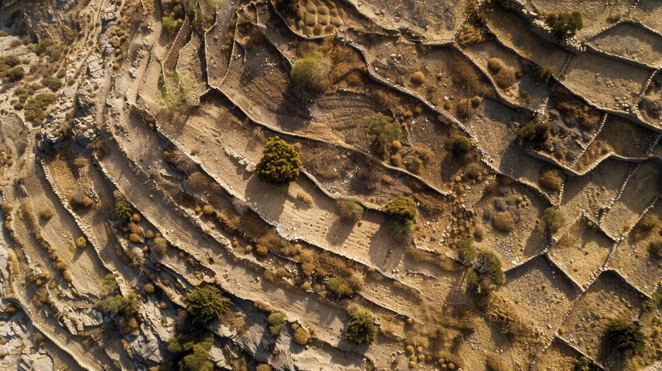 Aerial view of dry-stone terraces and field walls across a Cycladic hillside