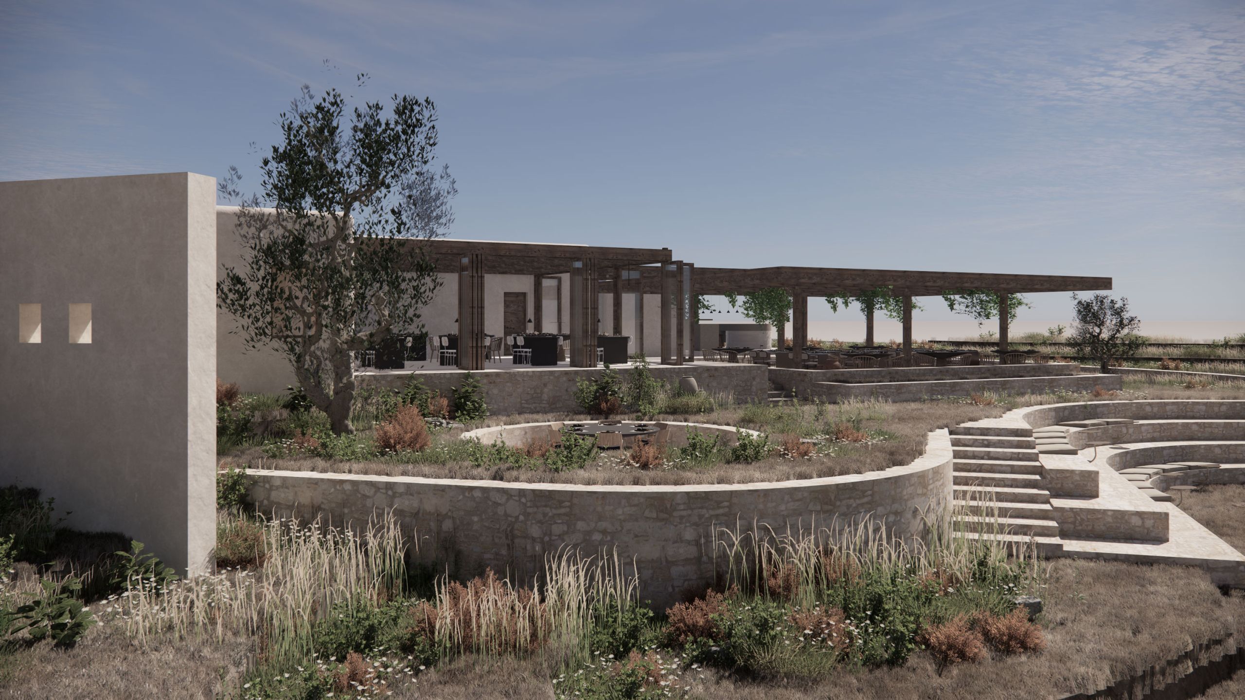 An olive tree and planted gardens in curved stone walls with steps, in front of a long pergola-covered terrace