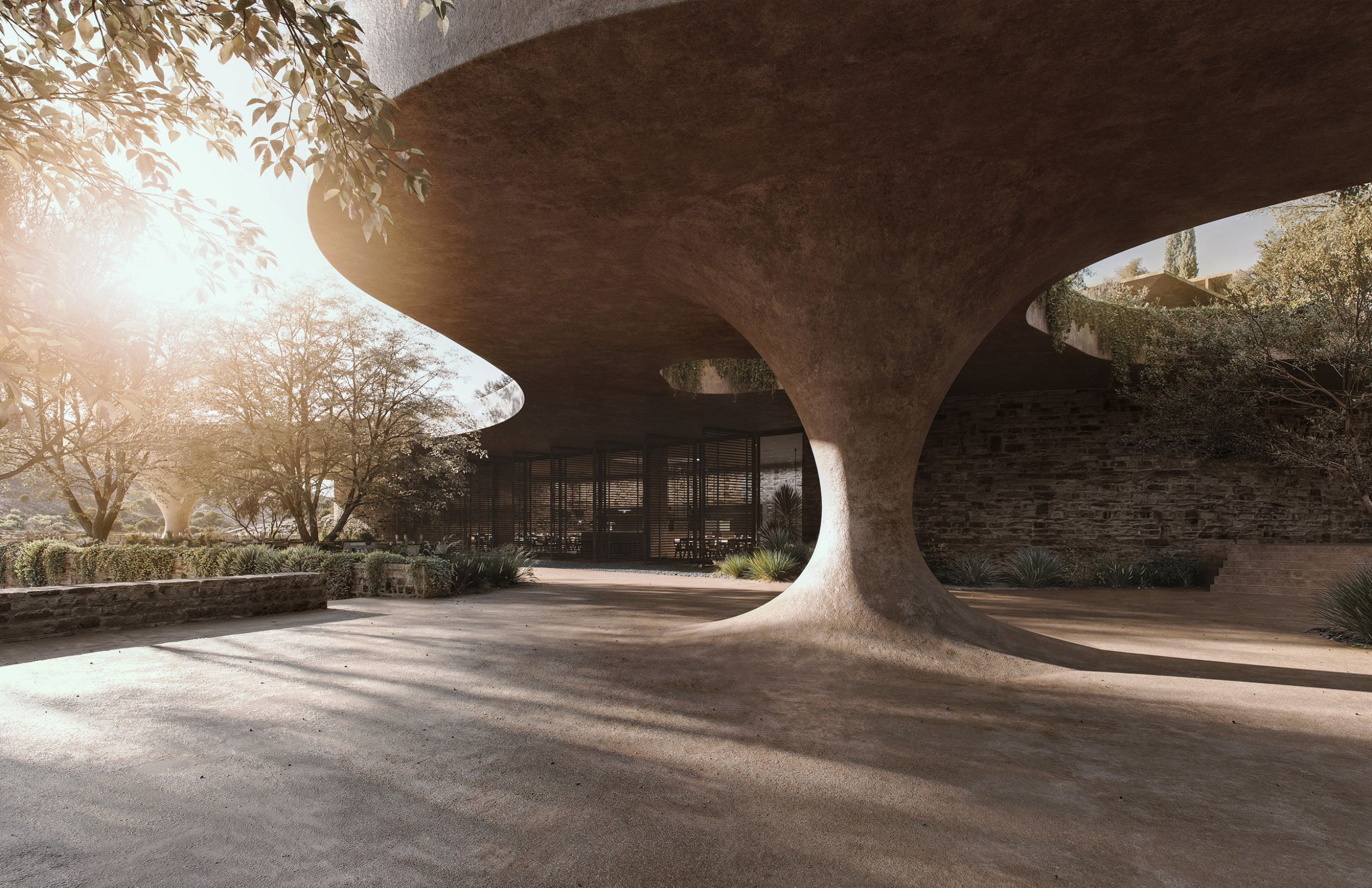 Rendering of Shared Ground's restaurant under a sweeping concrete canopy on a tapered column, sunlight through the olive trees